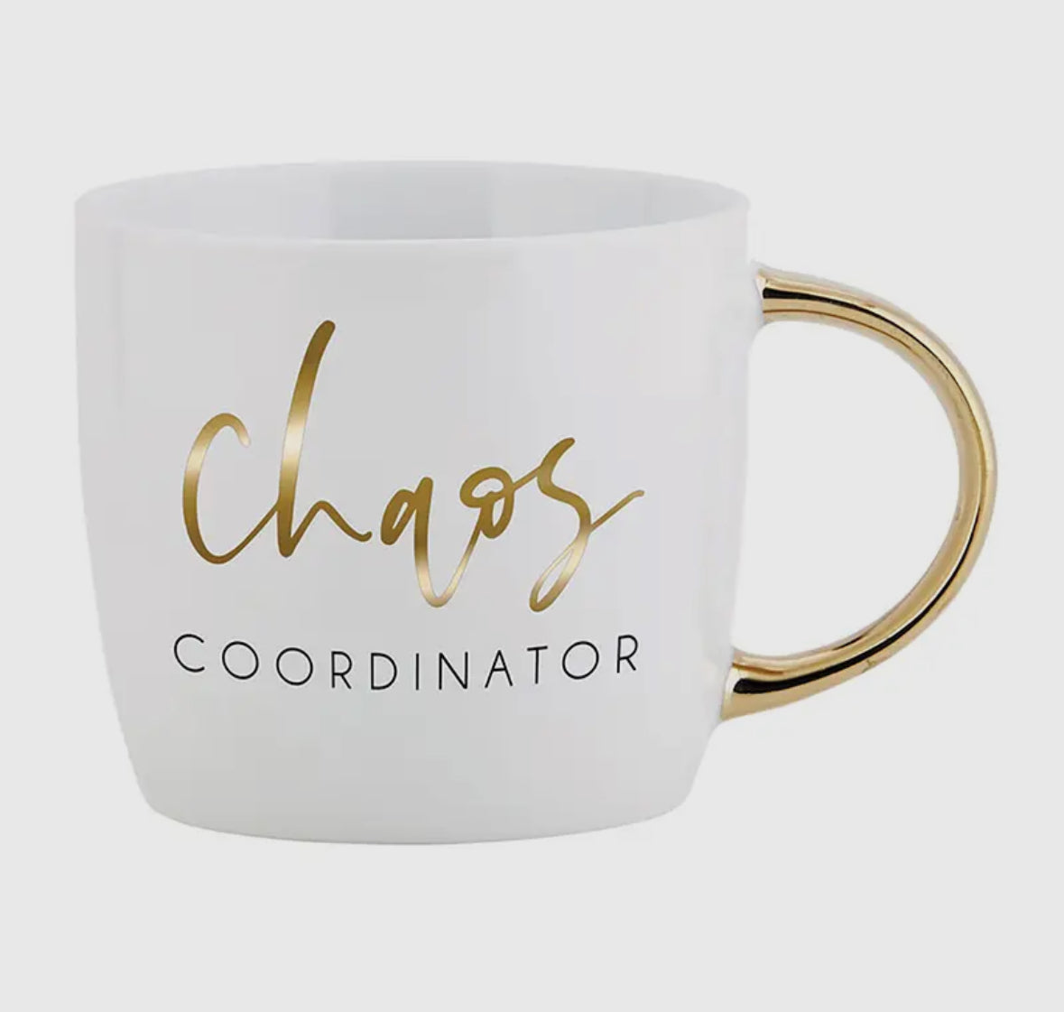 Chaos Coordinator Mug