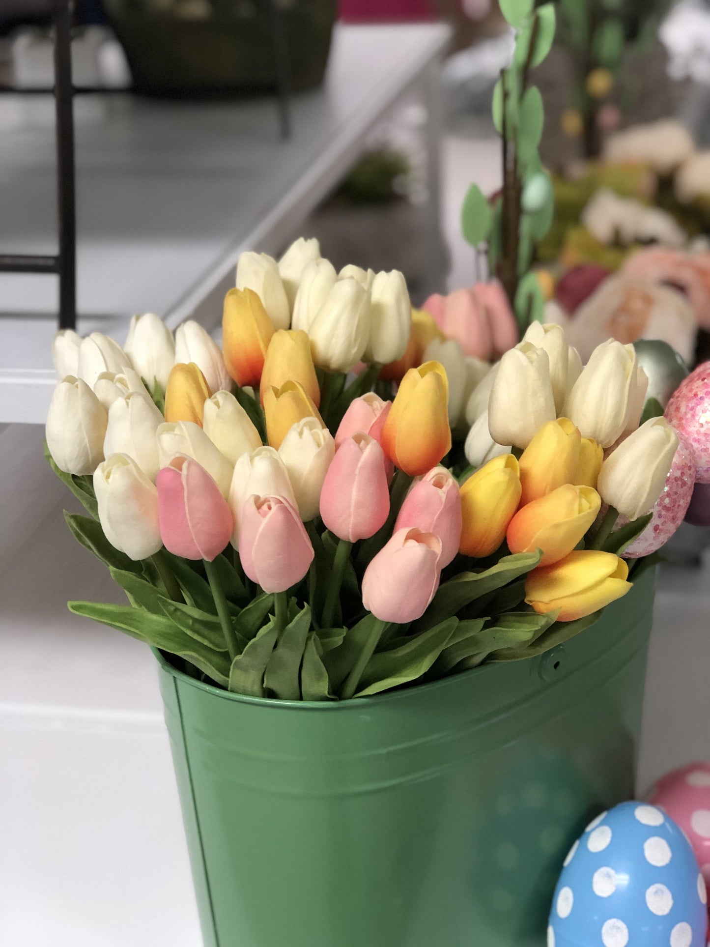 Tulip Bundle