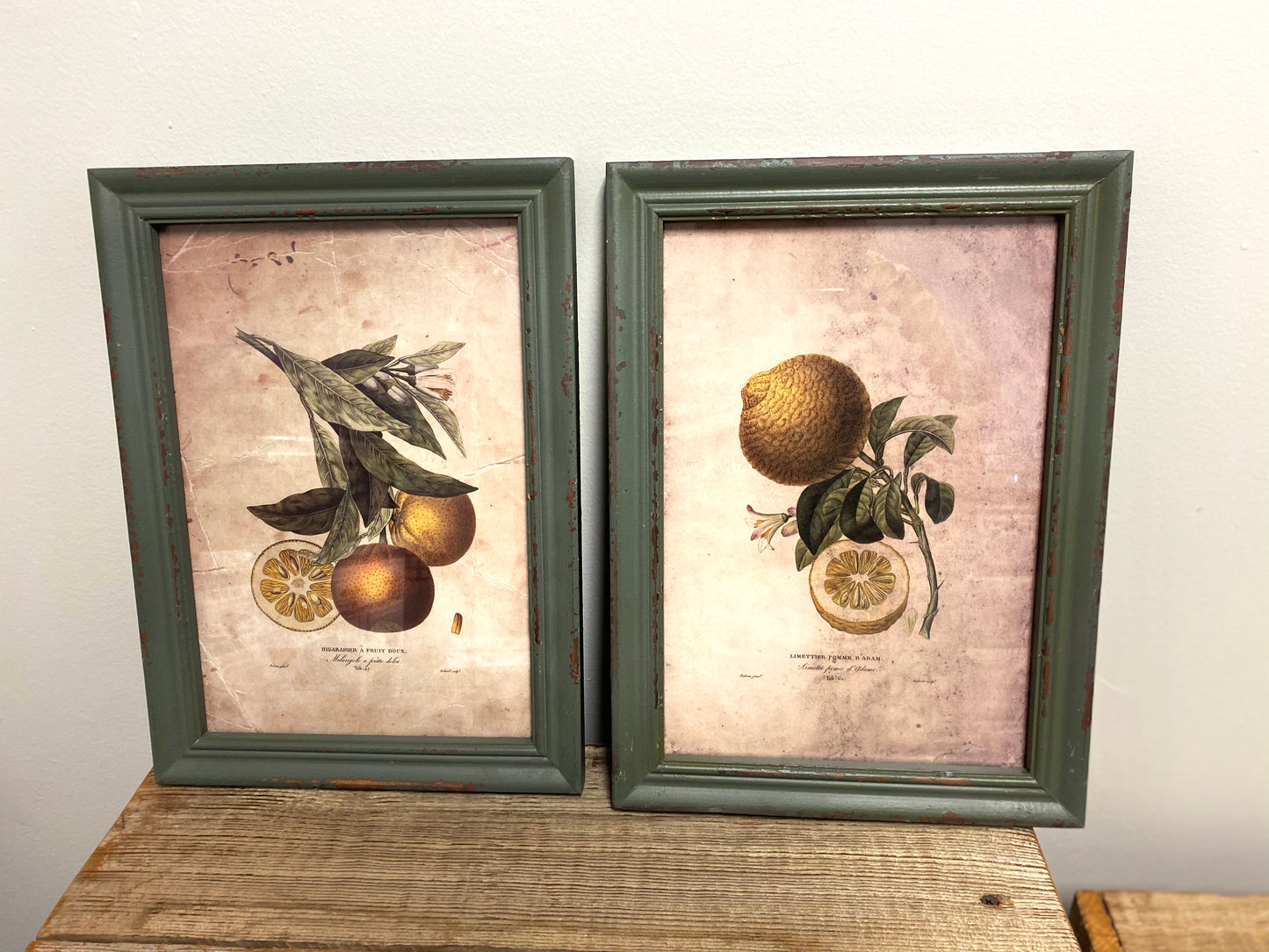 Citrus Framed Prints